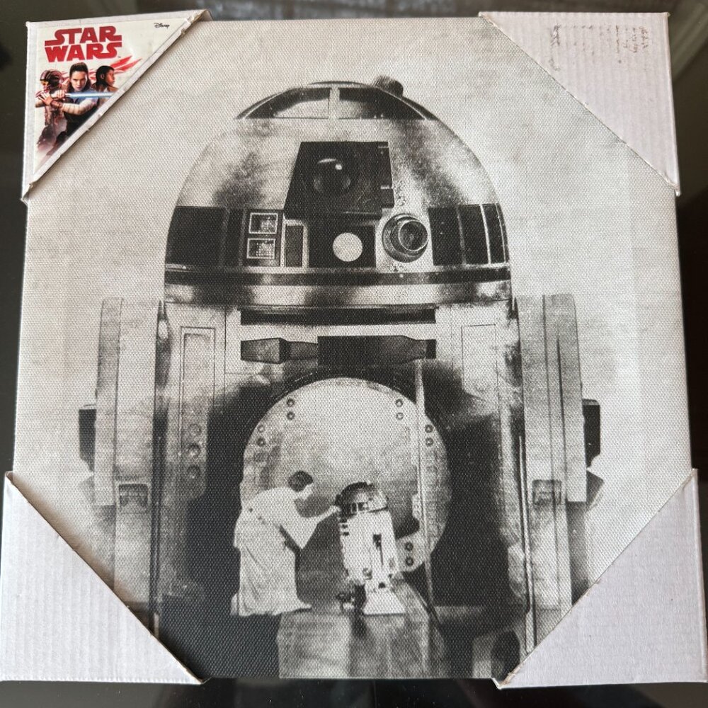 Star Wars R2 D2 Leia PICTURE Canvas Lucasfilm Artissimo Art Black Silver 10x 10”